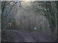 Track junction on the bridleway in Reinden Wood (2) in CT18 7AW