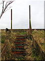 Steps up the riverbank in NR29 3EP