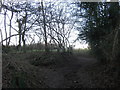 Bridleway junction near Reinden Wood in CT15 7HY