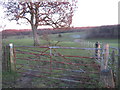 Bridle Gate near Standardhill Farm in CT4 6TZ