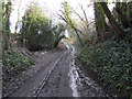 Muddy route in Sir y Fflint - Flintshire