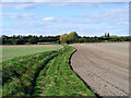 Farmland and the Driftway, West Hagbourne in OX11 6JE