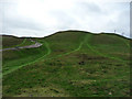 Grassland east of the summit of the Great Orme in LL30 2XG