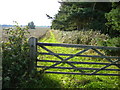Bridleway and footpath alongside Common Plantation in YO18 7LN