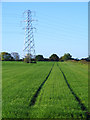 Farmland and pylon, Sydenham in OX39 4LW