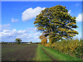 Farmland and footpath, Emmington, Chinnor in OX39 4LR