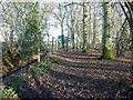 Deer fencing and gate in Beeding's Copse in RH14 9GZ