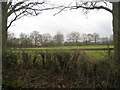 Farmland - West Heath, Hampshire in RG26 5SE