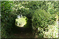 Combe St Nicholas: footpath in TA20 3PU