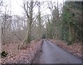 Passing through Browning Hill Copse in RG26 3AX