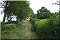 Combe St Nicholas: footpath to Scrapton in TA20 3PT