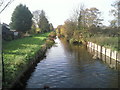 Duke of Northumberland's River at Bedfont in TW14 9QX