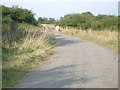 Cycle path near New Buckenham in New Buckenham