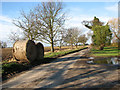 Straw bales stored by the roadside, South Burlingham in NR13 4BG