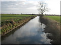 Richborough Stream towards Corner Drove in CT3 2LT