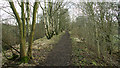 Part of the Rowthorne Trail in NG17 3JQ