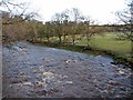 River Irthing at Willowford in CA8 7AA