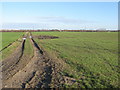 Farm track and footpath near Marshborough Farm in CT13 0QT