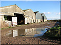 Sheds at Marsh Farm, Runham in Mautby