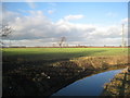 Looking across a dyke towards Danethorpe in NG24 2QS