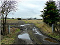 Muddy field entrance in Scotter and Blyton Ward