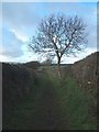 Footpath Near Swynnerton in ST15 0QG