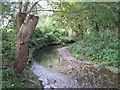 The River Ravensbourne in BR3 5GD