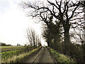 Farm track back to the road from Magna Farm, Linstead in Linstead Magna
