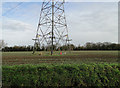 Bird scarer beneath a pylon in Linstead Magna