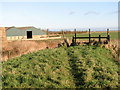 Footpath along the River Bure by Marsh Farm, Runham in Mautby