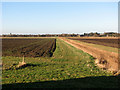Footpath to Manor Farm, Runham in NR29 3EQ