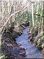 The River Ravensbourne in the north of Padmall Wood in BR2 6BN