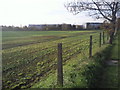 Field on the south side of Stanwell Road in TW19 7LE