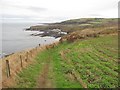 Berwickshire Coast Path in TD14 5SU