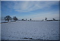 Snow covered field near Milton Malsor in NN4 0AJ