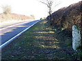 Milestone near Tarrant Hinton in DT11 8HY
