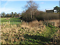 Public footpath to St Andrew's church, Stokesby in NR29 3EX
