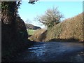 Road to Clapp Mill Farm from Clapp Mill Cross in EX5 3DH
