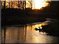 River Blackwater at Sunset in CO5 9LX