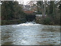 Grey's Mill Weir in CO5 9LX