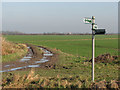Paths divide at the edge of the fen in CB21 5BW