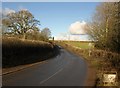 A3124 near de Bathe Barton farm in EX20 2BA