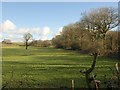 Field beside the A3124 in EX20 2BA