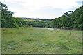 Tidal creek and saltmarsh by Gooseford Lane in PL11 3AW