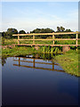 Footbridge across the Old River on Outney Common in NR35 1EF