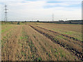 Stubble fields north of Pleasley Park in NG20 8GD