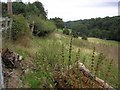 Farmland on Nant-y-Glyn Road in Colwyn Bay Community