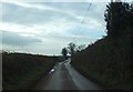 Lane approaching Wyke Cross from the east. in EX17 1AN