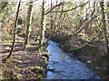 Stream in the Jericho Valley below Barkla Shop in TR5 0PR