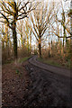 Footpath approaching A3051 at Curbridge in Curbridge (Winchester)